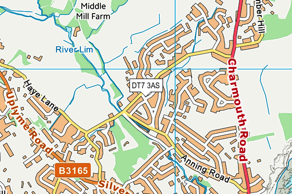 DT7 3AS map - OS VectorMap District (Ordnance Survey)
