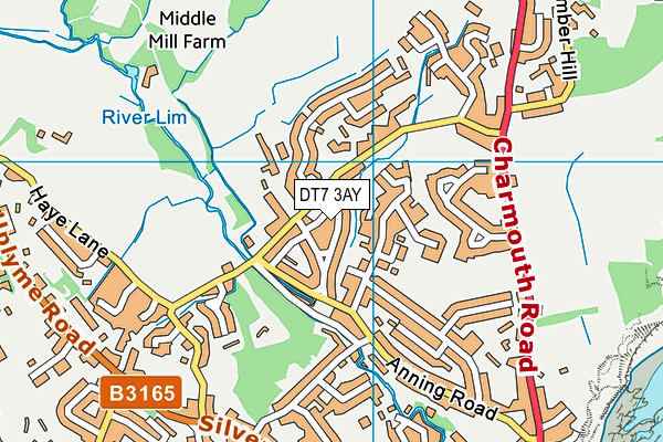 DT7 3AY map - OS VectorMap District (Ordnance Survey)