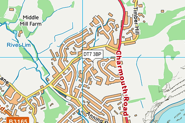 DT7 3BP map - OS VectorMap District (Ordnance Survey)
