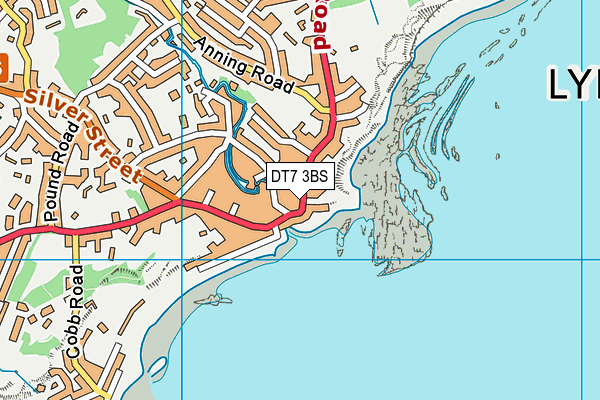 DT7 3BS map - OS VectorMap District (Ordnance Survey)