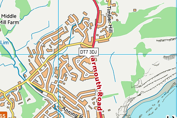 DT7 3DJ map - OS VectorMap District (Ordnance Survey)