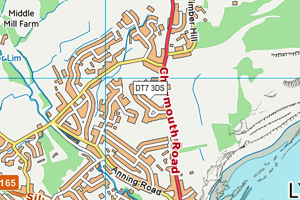 DT7 3DS map - OS VectorMap District (Ordnance Survey)