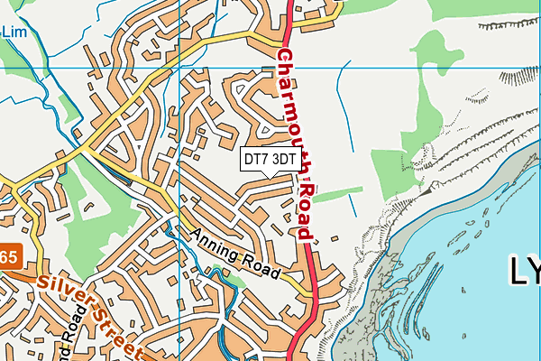 DT7 3DT map - OS VectorMap District (Ordnance Survey)