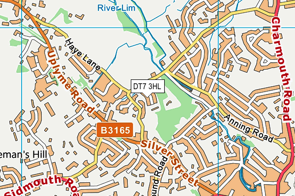 DT7 3HL map - OS VectorMap District (Ordnance Survey)