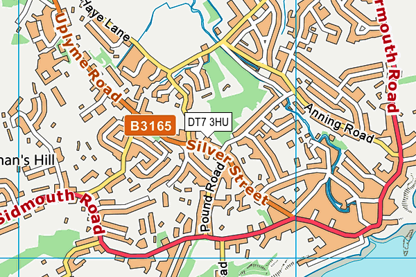 DT7 3HU map - OS VectorMap District (Ordnance Survey)