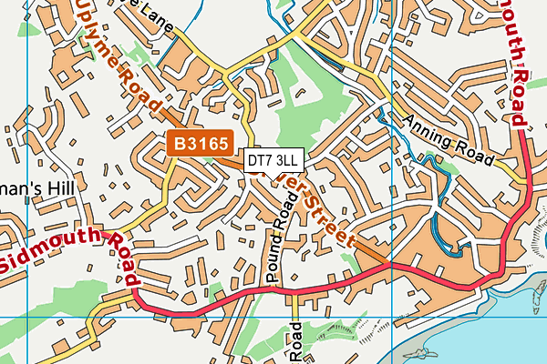 DT7 3LL map - OS VectorMap District (Ordnance Survey)