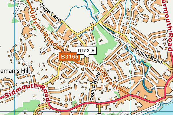 DT7 3LR map - OS VectorMap District (Ordnance Survey)