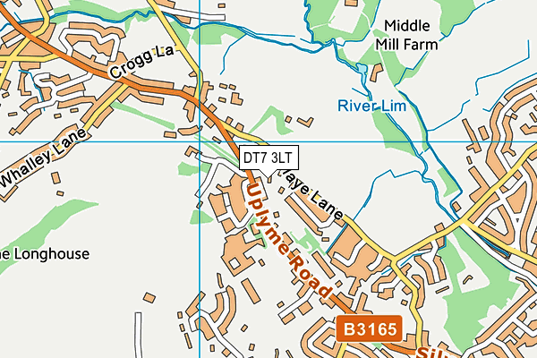 DT7 3LT map - OS VectorMap District (Ordnance Survey)