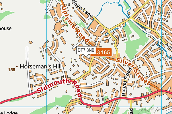 DT7 3NB map - OS VectorMap District (Ordnance Survey)