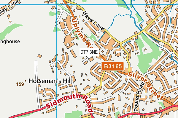 DT7 3NE map - OS VectorMap District (Ordnance Survey)