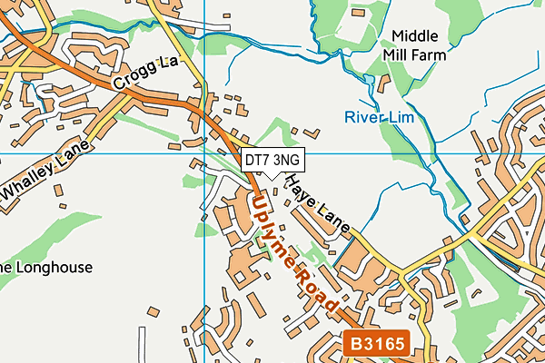 DT7 3NG map - OS VectorMap District (Ordnance Survey)