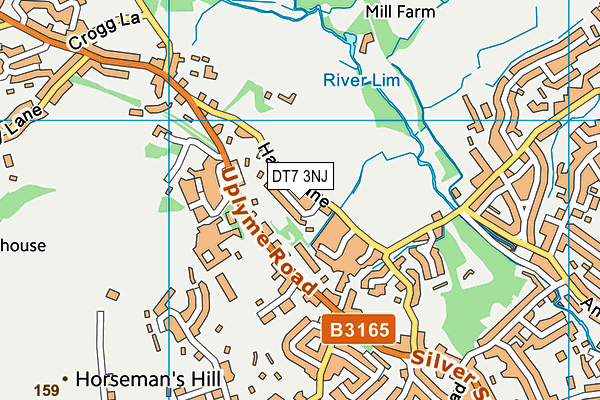 DT7 3NJ map - OS VectorMap District (Ordnance Survey)