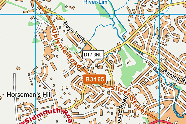 DT7 3NL map - OS VectorMap District (Ordnance Survey)