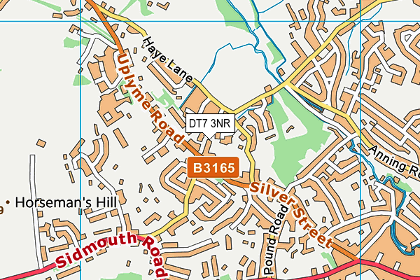 DT7 3NR map - OS VectorMap District (Ordnance Survey)