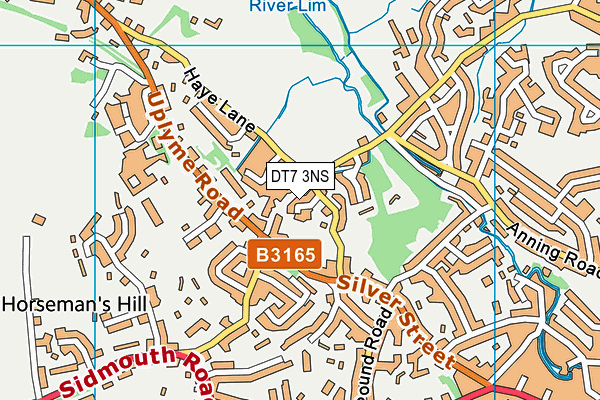DT7 3NS map - OS VectorMap District (Ordnance Survey)