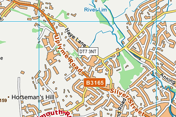 DT7 3NT map - OS VectorMap District (Ordnance Survey)