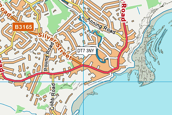 DT7 3NY map - OS VectorMap District (Ordnance Survey)