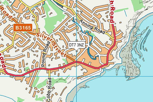 DT7 3NZ map - OS VectorMap District (Ordnance Survey)