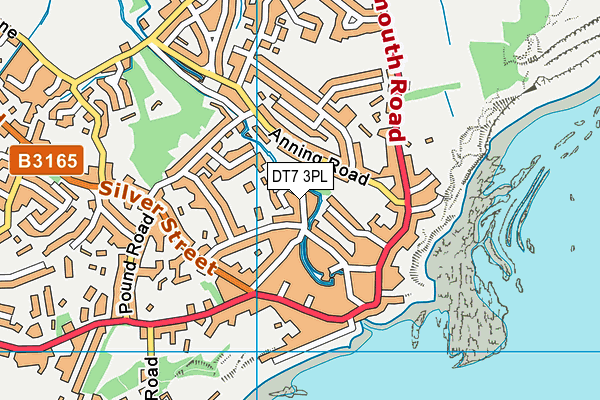 DT7 3PL map - OS VectorMap District (Ordnance Survey)