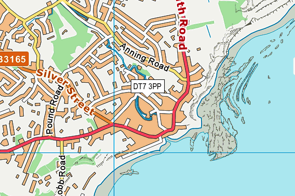 DT7 3PP map - OS VectorMap District (Ordnance Survey)