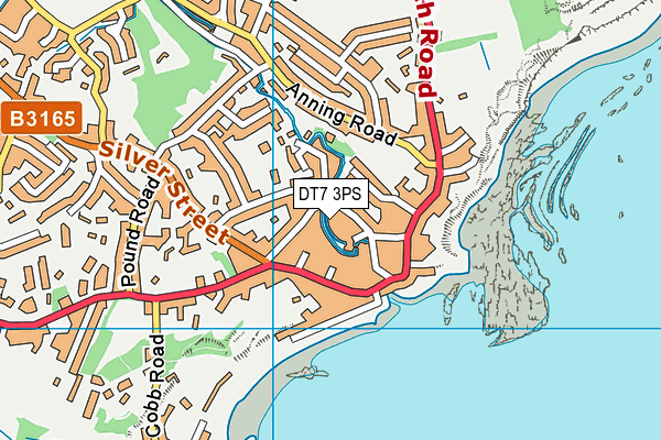 DT7 3PS map - OS VectorMap District (Ordnance Survey)