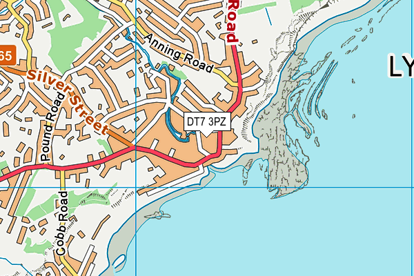 DT7 3PZ map - OS VectorMap District (Ordnance Survey)