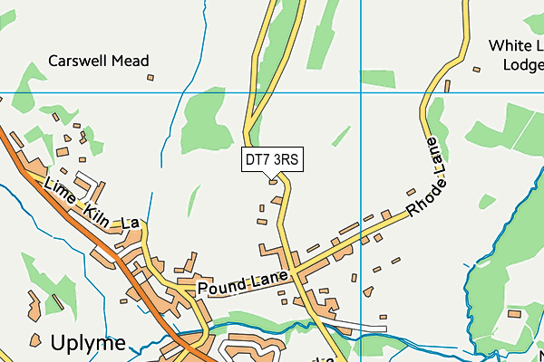 DT7 3RS map - OS VectorMap District (Ordnance Survey)