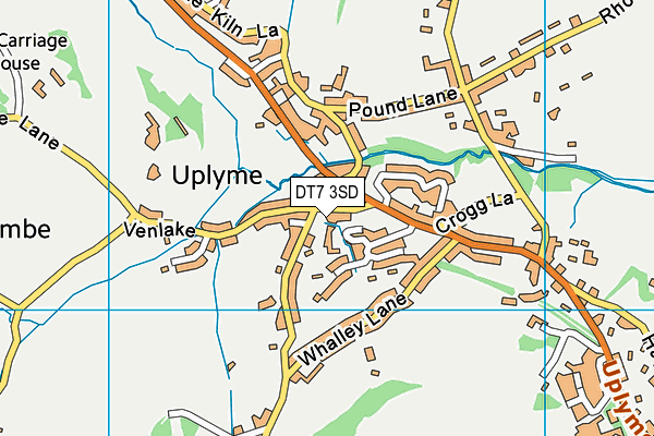 DT7 3SD map - OS VectorMap District (Ordnance Survey)