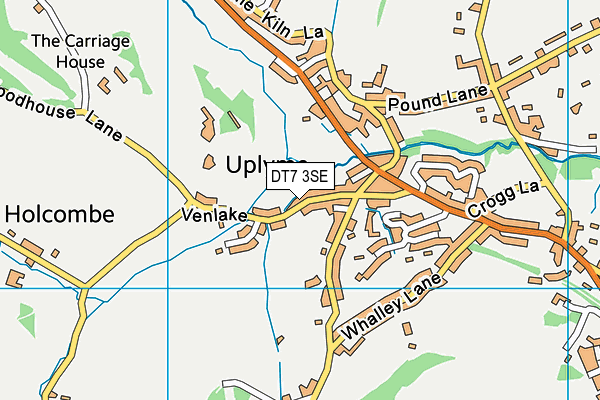 DT7 3SE map - OS VectorMap District (Ordnance Survey)