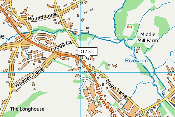DT7 3TL map - OS VectorMap District (Ordnance Survey)
