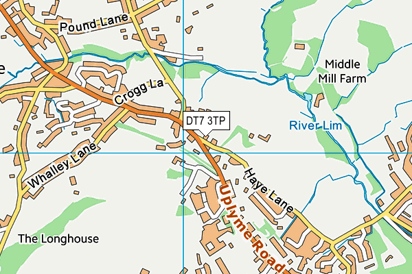 DT7 3TP map - OS VectorMap District (Ordnance Survey)