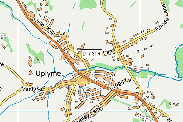 DT7 3TR map - OS VectorMap District (Ordnance Survey)