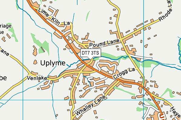 DT7 3TS map - OS VectorMap District (Ordnance Survey)