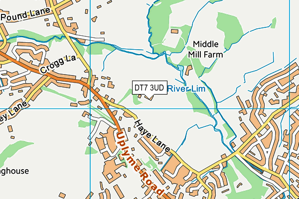 DT7 3UD map - OS VectorMap District (Ordnance Survey)