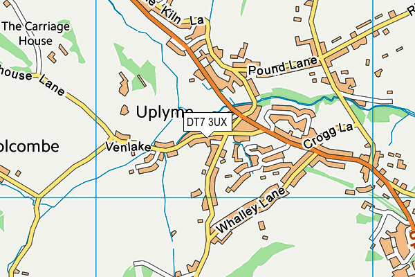 DT7 3UX map - OS VectorMap District (Ordnance Survey)