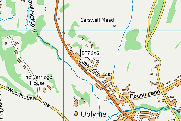 DT7 3XG map - OS VectorMap District (Ordnance Survey)