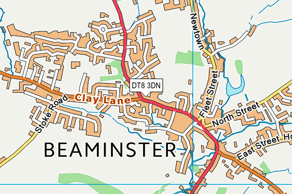 DT8 3DN map - OS VectorMap District (Ordnance Survey)