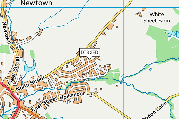 DT8 3ED map - OS VectorMap District (Ordnance Survey)