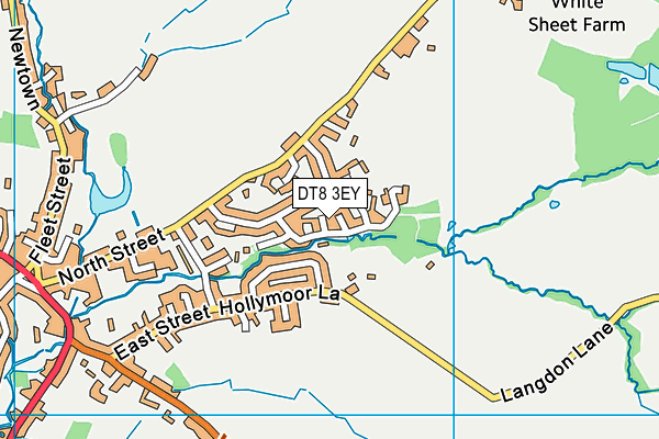 DT8 3EY map - OS VectorMap District (Ordnance Survey)