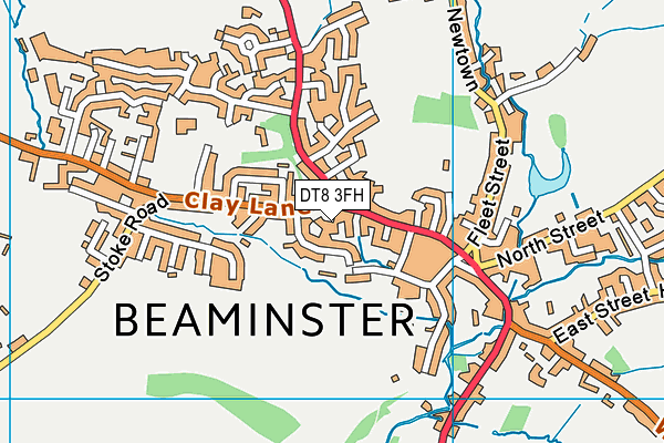 DT8 3FH map - OS VectorMap District (Ordnance Survey)