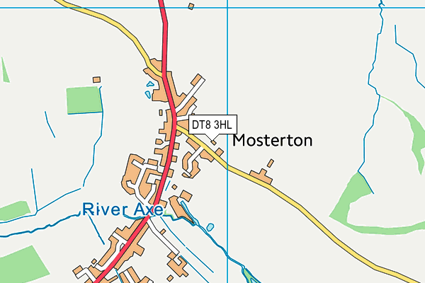 DT8 3HL map - OS VectorMap District (Ordnance Survey)