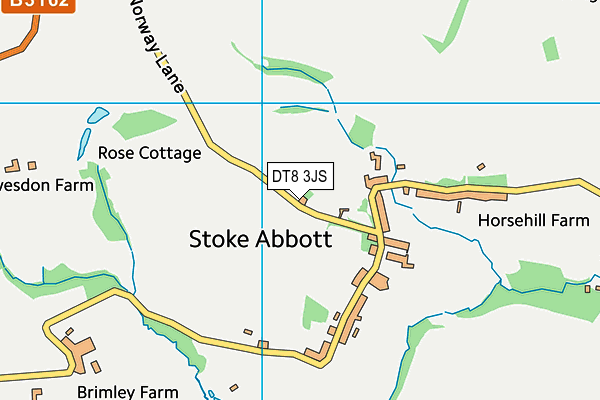 DT8 3JS map - OS VectorMap District (Ordnance Survey)