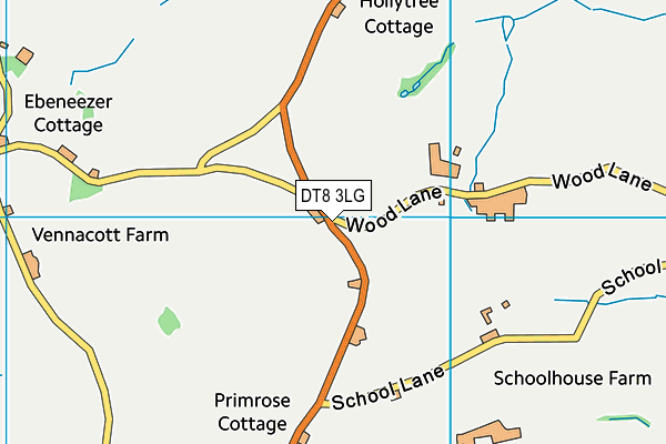 DT8 3LG map - OS VectorMap District (Ordnance Survey)