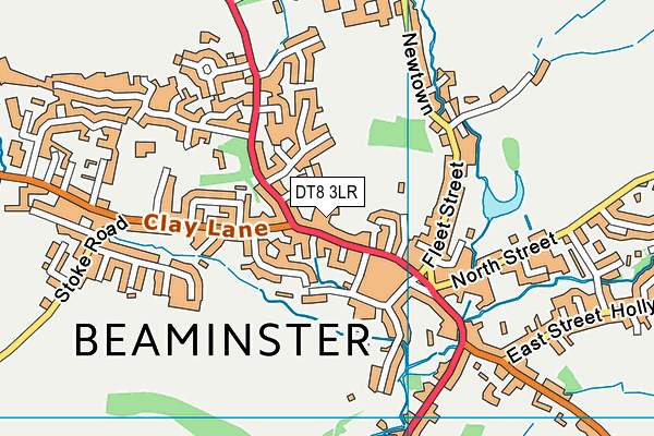 DT8 3LR map - OS VectorMap District (Ordnance Survey)