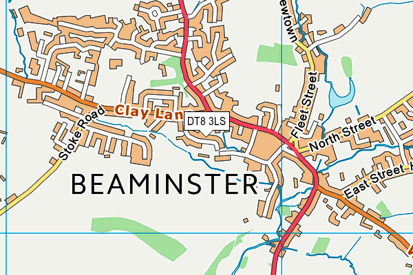 DT8 3LS map - OS VectorMap District (Ordnance Survey)