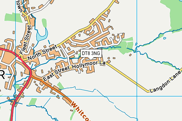 DT8 3NG map - OS VectorMap District (Ordnance Survey)