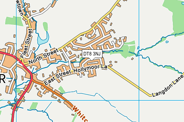 DT8 3NJ map - OS VectorMap District (Ordnance Survey)