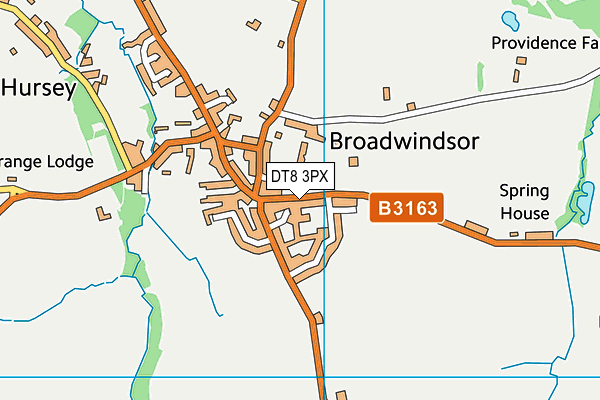DT8 3PX map - OS VectorMap District (Ordnance Survey)