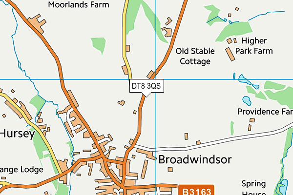DT8 3QS map - OS VectorMap District (Ordnance Survey)