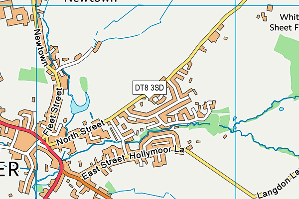 DT8 3SD map - OS VectorMap District (Ordnance Survey)